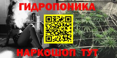 mdpv Новокубанск
