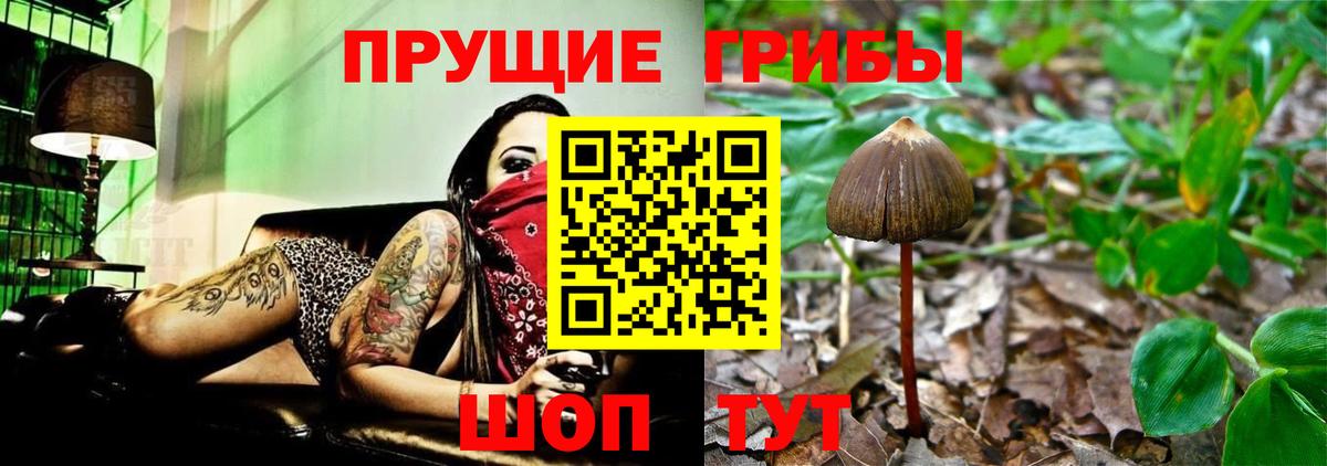 Галлюциногенные грибы Cubensis  Псилоцибиновые грибы MAGIC MUSHROOMS  где найти наркотики  Вход с VPN  Уссурийск 
